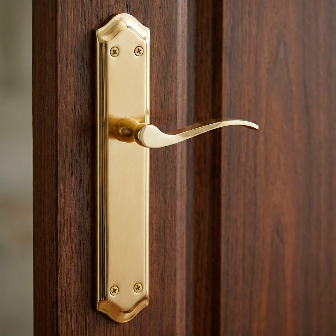 Manilla MASTER acabado dorado satinado con placa ovalada curva para puertas - Image 4