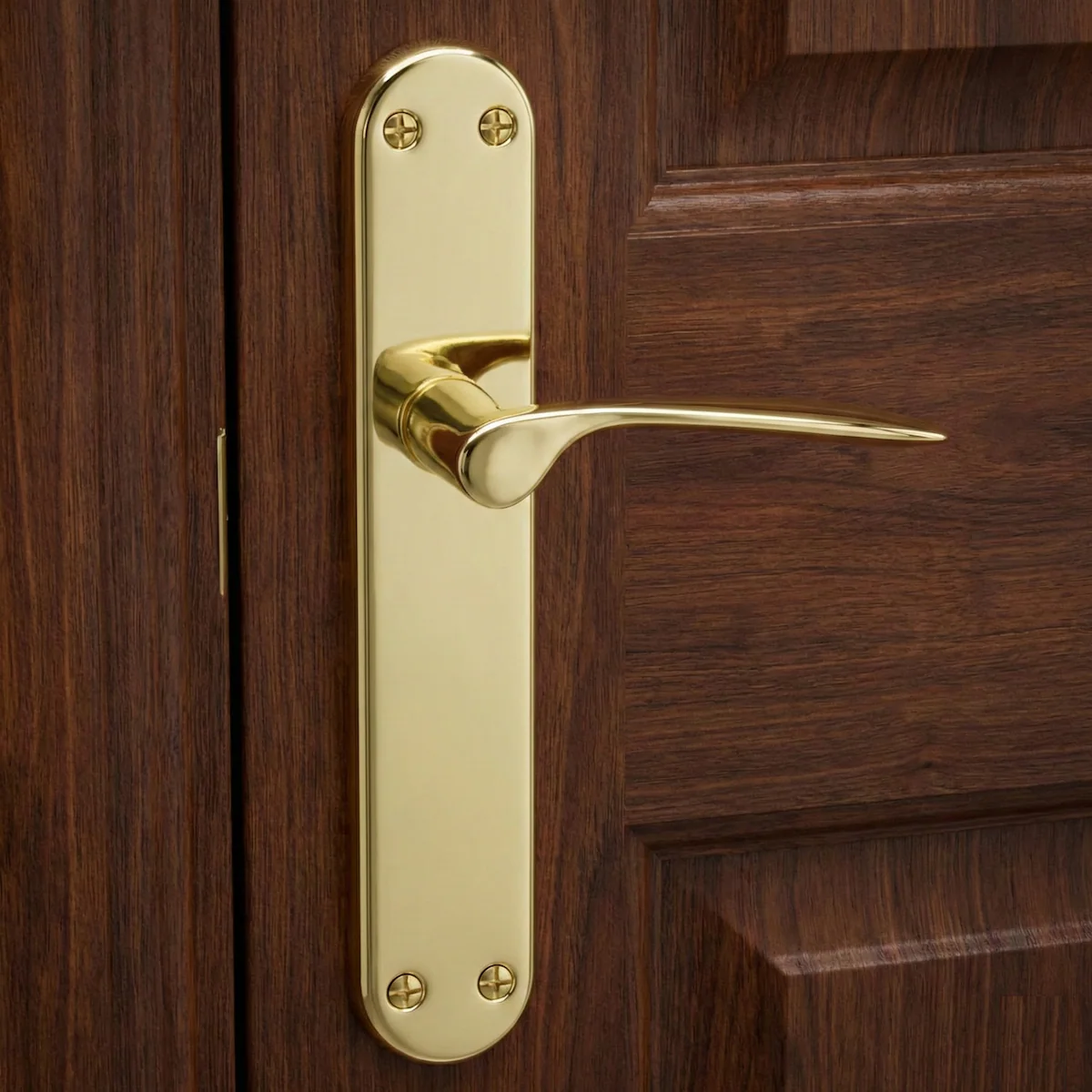 Manilla con placa ovalada de latón acabado dorado modelo Pep para puertas - Image 2