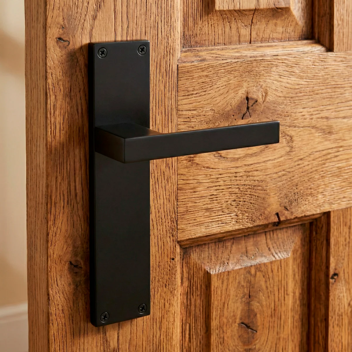 Manilla modelo '220' de zamak con placa rectangular acabado negro para puertas - Image 3